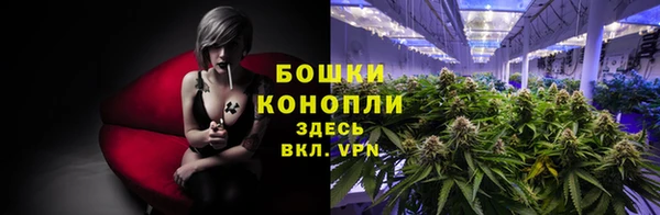 стафф Заводоуковск