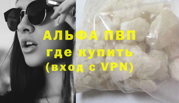 стафф Заводоуковск