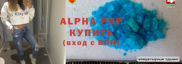 стафф Заводоуковск