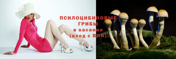 стафф Заводоуковск