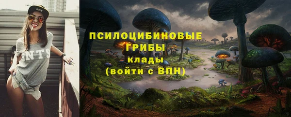 мдпв Заволжск
