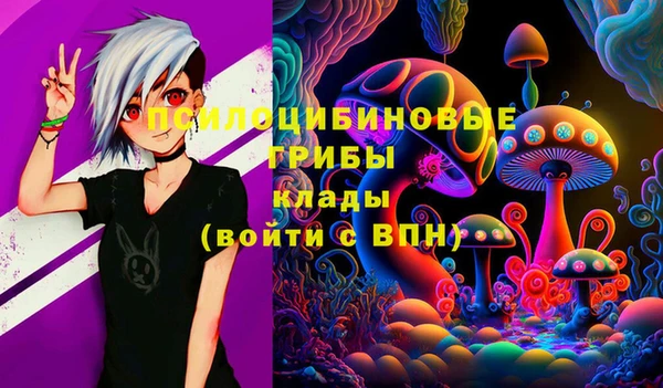 мдпв Заволжск