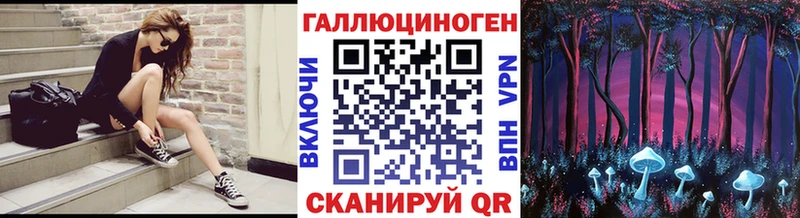 Купить где  Дубна  Галлюциногенные грибы GOLDEN TEACHER 