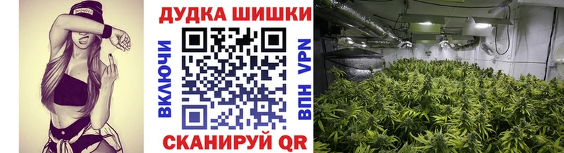 Шишки марихуана LSD WEED  Купить  Дубна 